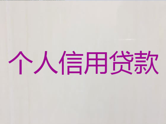 肥西县信用贷款-银行抵押贷款